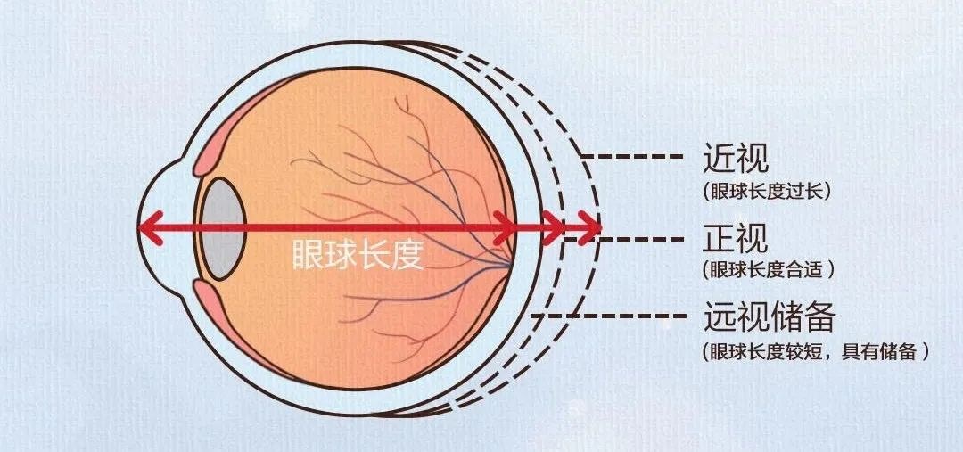 圖片.png