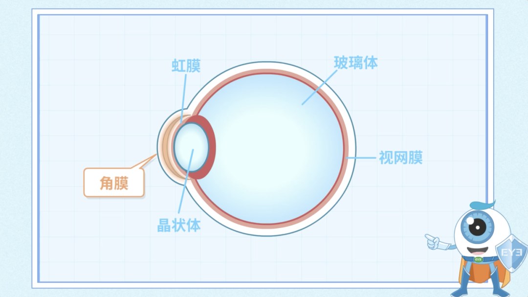 圖片.png