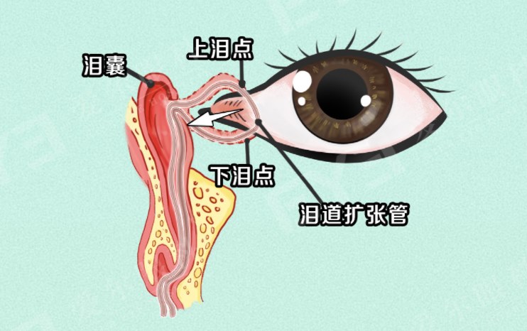 圖片.png